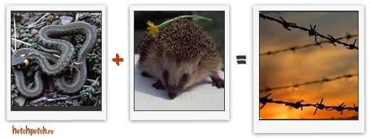 CrossBreedHedgeWire.jpg