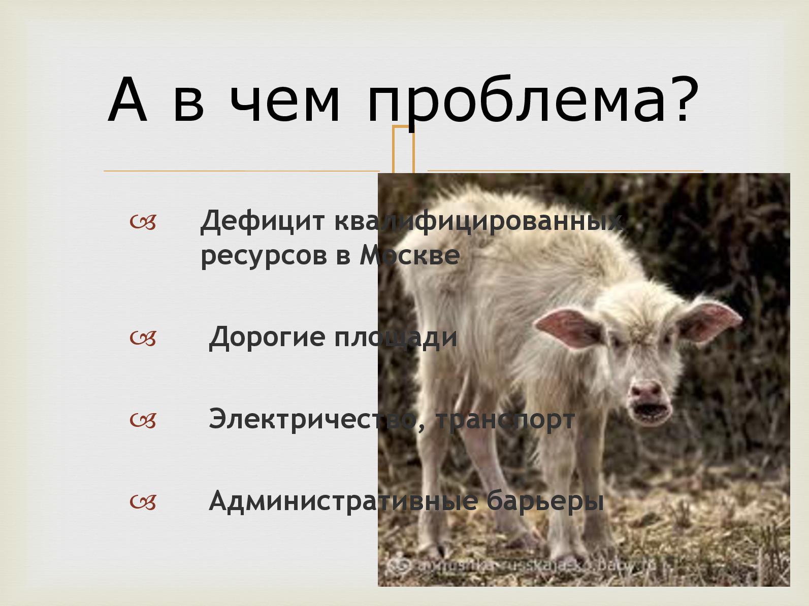 Файл:Практика создания удаленного офиса тестирования (Михаил Мериин, SQADays-11).pdf
