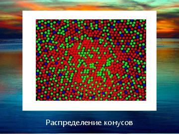 ← предыдущая страница