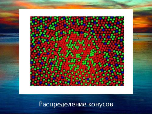 2D-графика изнутри (Александр Бурт, ADD-2012).pdf