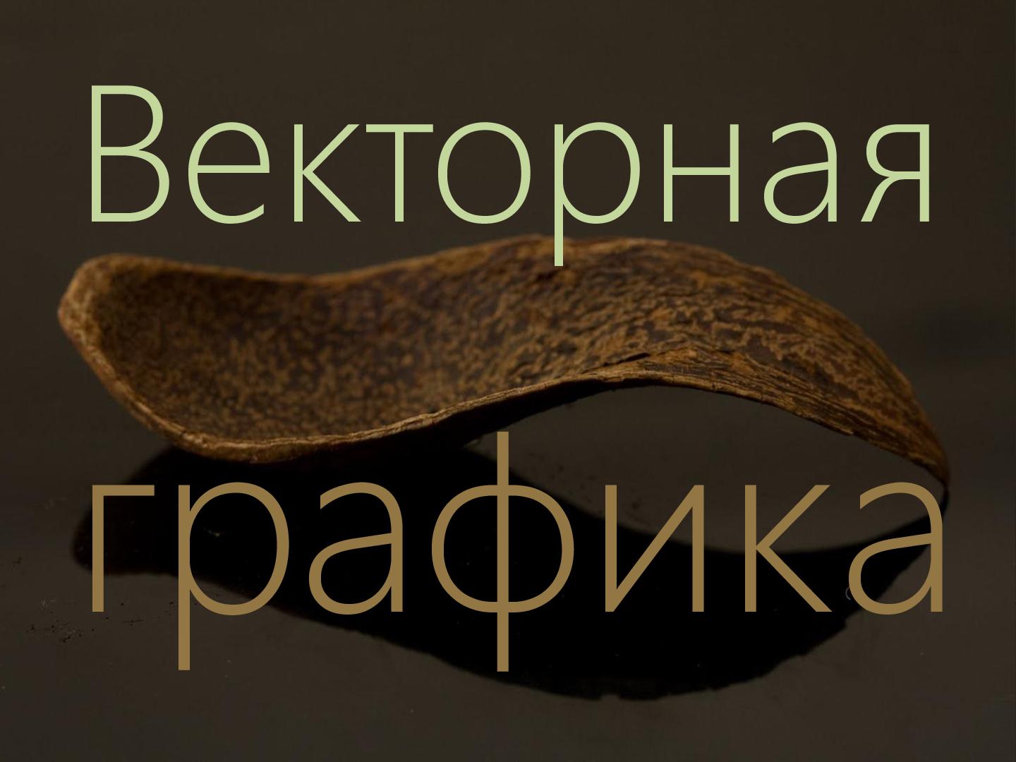 Файл:2D-графика изнутри (Александр Бурт, ADD-2012).pdf