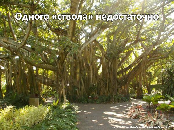 Об удобстве иерархических структур данных (Андрей Майоров на ADD-2010).pdf