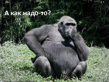 ← предыдущая страница