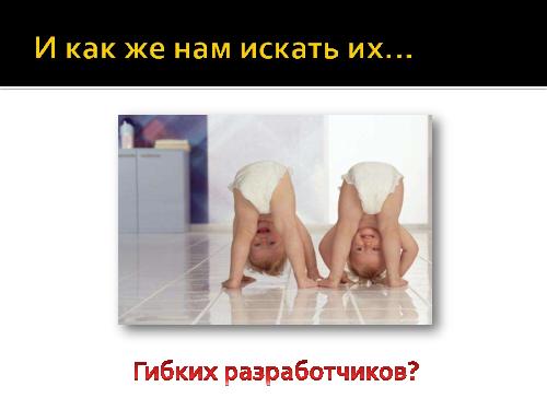 В поисках гибкого разработчика (Роман Юферев, AgileDays-2011).pdf
