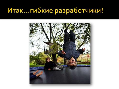 В поисках гибкого разработчика (Роман Юферев, AgileDays-2011).pdf