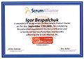 Blog-CSPO(i bespalchuk)(640x449).jpg
