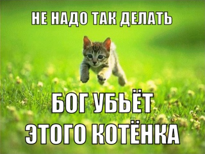 GodKillsKitten.jpg