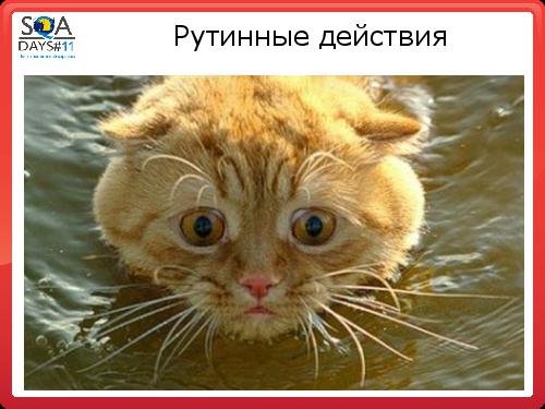 Автоматизация сборки и тестирования в разрезе эффективного производства (Олег Ладыгин, SQADays-11).pdf