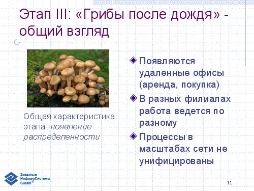 Эволюция информационной системы и логистика торговой сети (семинар 2007-05-17).pdf