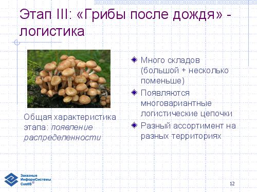Эволюция информационной системы и логистика торговой сети (семинар 2007-05-17).pdf
