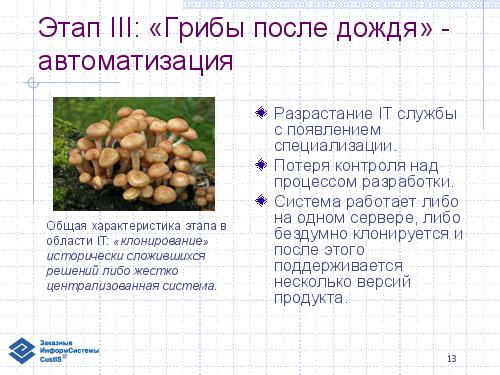 Эволюция информационной системы и логистика торговой сети (семинар 2007-05-17).pdf