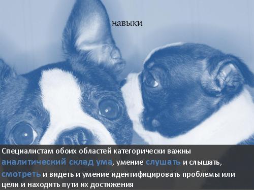 Бизнес-анализ и юзабилити – найдите 10 отличий и 10 сходств (AnalystDays-2012) .pdf