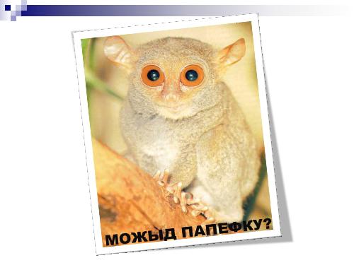 Техническое интервью с человеческим лицом (Виктория Придатко, SPMConf-2011).pdf