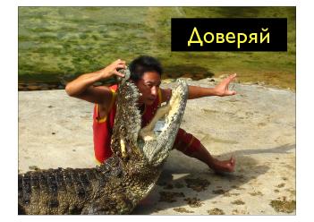 ← предыдущая страница