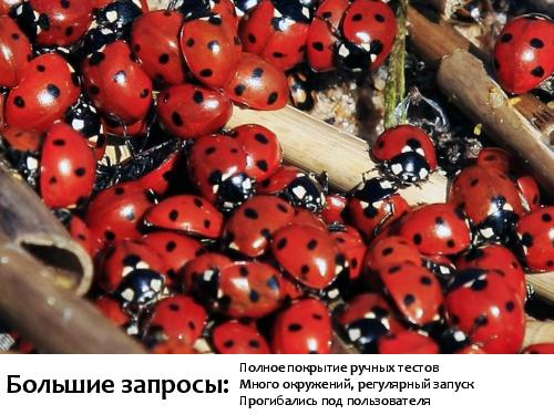Серебряная пуля автоматизированного тестирования (SQADays-11).pdf