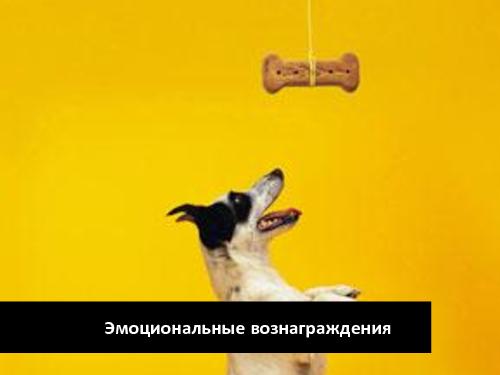 Игровые механики в полезных приложениях (Дмитрий Орлов, ProductCampSPB-2012).pdf