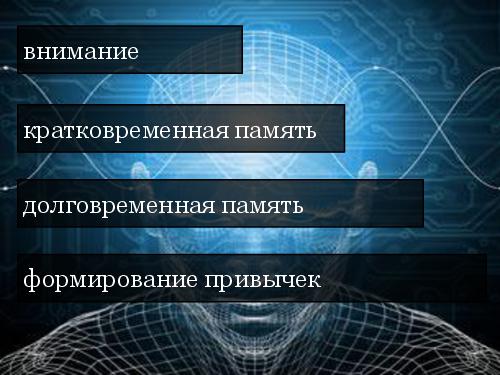 Принцип Паретто usability-тестирования. 20% усилий, дающие 80% результата (Анна Северинко, SQADays-11) .pdf