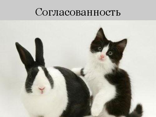 Принцип Паретто usability-тестирования. 20% усилий, дающие 80% результата (Анна Северинко, SQADays-11) .pdf